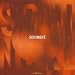 Schinore