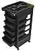 Salon SPA Trolley Storage Cart Coloring Beauty Salon Rollabout Hair Dryer Holder