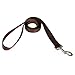 ITERY Dog Leash, Pet Durable Leash Strap for Puppy Pet Leash Rope 6-feet Long 1” Wide (Brown)