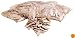 Porter-Cable 5552 20-by-52-Millimeter No. 10 Biscuits, 1,000-Pack