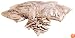 Porter-Cable 5552 20-by-52-Millimeter No. 10 Biscuits, 1,000-Pack