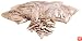 Porter-Cable 5551 No. 0 Biscuits (1,000-Pack)