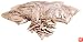 Porter-Cable 5553 No. 20 Biscuits (1,000-Pack)