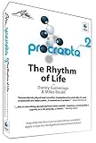 Rhythm Of Life - Cummings & Bould