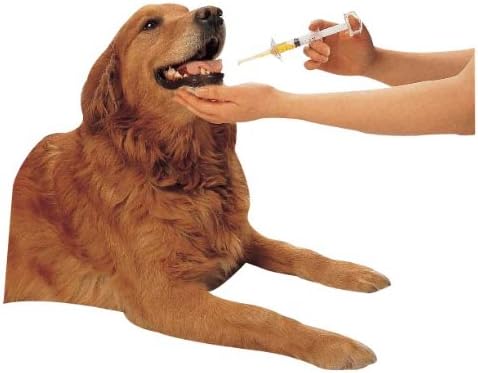 Pharmapet Oral Syringe