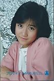 無性にどうでもいいモノが欲しくなりマルベル堂で吉田豪のプロマイドを