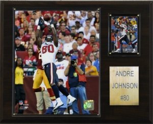 Houston Texans Andre Johnson 12