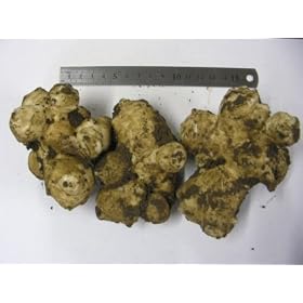 ���e�� �i�H�p 1kg�� ���_��j