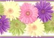 Daisy Chain Purple Wallpaper Border