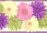 Daisy Chain Purple Wallpaper Border