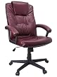 Executive Swivel Office Chair with Top Grain Burgundy Leather [BT-2902-BG-GG]