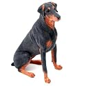 Country Artist Doberman - CA3955
