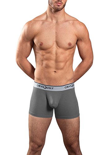 Obviously Naked Boxer Brief 3 inch Leg (Medium, Graphite)