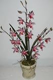 Review Silk Plants Plus  / 25