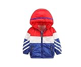 キッズ男の子 ボーイズ アウター 子供服 パーカージャケット春・秋 tree003b 110cm