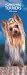 yorkshire terrier - Yorkshire Terriers 2008 Slimline Calendar
