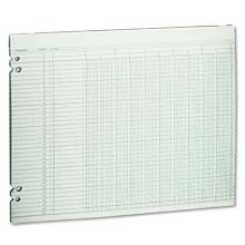 Wilson Jones Green Columnar Ruled Ledger Paper, 10 Columns and 36 Lines per Page, 11 x 14 Inches, 100 Sheets per Pack (WG30-10A)