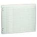 Wilson Jones Green Columnar Ruled Ledger Paper, 10 Columns and 36 Lines per Page, 11 x 14 Inches, 100 Sheets per Pack (WG30-10A)