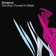 The Day I Turned to Glass
