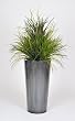 Artificial Ornamental Beach Grass in Round Zinc Planter