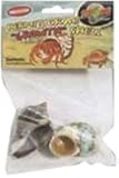 Zoo Med Hermit Crab Growth Shell, Medium, 2-Pack
