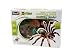 Revell X-Ray Tarantula Spider Anatomy Models_s-3