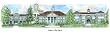 James Madison University - Collegiate Sculptured Ornament