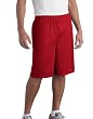 Long Mesh Shorts