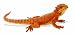 Safari Ltd. Bearded Dragon