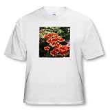 SmudgeArt Flower Art Designs - Vibrant Orange Tulip Flowers - Photography Flowers - T-Shirts