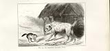 Landseer Sketch, Dog Cat An Impending Quarrel