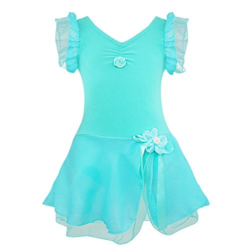 YiZYiF Kids Girls' Leotard Dress Classic Ballet Dancewear Dress Up