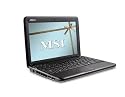 MSI U100-1618XP Wind 10.2 Zoll WSVGA LED Netbook (Intel Atom N270 1,6 GHz , 1GB RAM, 80GB HDD, Windows XP Home) schwarz