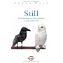 Still: Die Bedeutung von Introvertierten in einer &hellip von Susan Cain