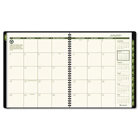 At-A-Glance Recycled Monthly Professional Planner, 2010-2011 Edition, 13 Months (January--January), Green (70-260G-60)