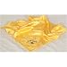 Iowa Hawkeyes NCAA Baby Blanket
