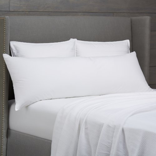 Pinzon Hypoallergenic Body Pillow With Pillowcase