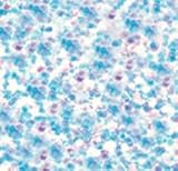 Stickles Glitter Glue 0.5 Ounce - Icicle
