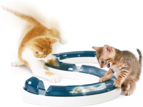 Hagen Catit Design Senses Play Circuit Hagen Catit Design Senses Play Circuit