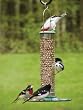 1 Quart Stainless Steel Peanut & Oil Sunflower Feeder