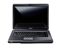 Toshiba Satellite L300D-222 15.4 inch Laptop, AMD Turion X2 Dual-Core RM-72 2.1 Ghz, 4GB RAM, 250 GB HDD, DVDSMDL WXGA, Vista Home Premium