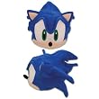 Sonic The Hedgehog Sonic Fleece Cap GE-2331