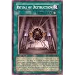YuGiOh 5D's Absolute Powerforce Single Card Ritual of Destruction ABPF-EN058 Common