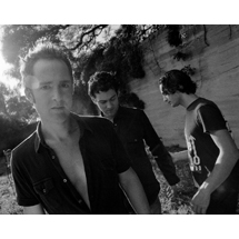 Image of Tonic
