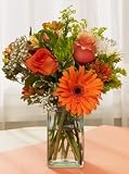 Orange Gerbera Daisy Bouquet - 20 Stems - B0027ISYA6