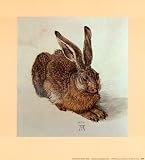 Young Hare Art Poster Print by Albrecht Dürer, 12x13