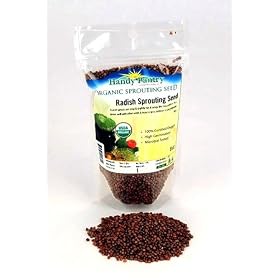 Organic Radish Sprouting Seeds -1/2 Lbs (8 Oz)- Radish Seed for Sprouting Sprouts, Cooking, Soup, Food Storage, Hydroponics, Gardening & More