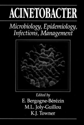 Acinetobacter: Microbiology, Epidemiology, Infections, Management On Sale