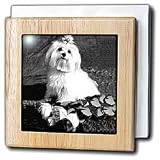 Dogs Maltese - Maltese - Tile Napkin Holders