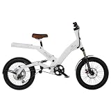 A2B Lithium Ion 7 Speed Electric Bicycle By Ultra Motor 500w/36v **Upto 40 Miles on a Charge